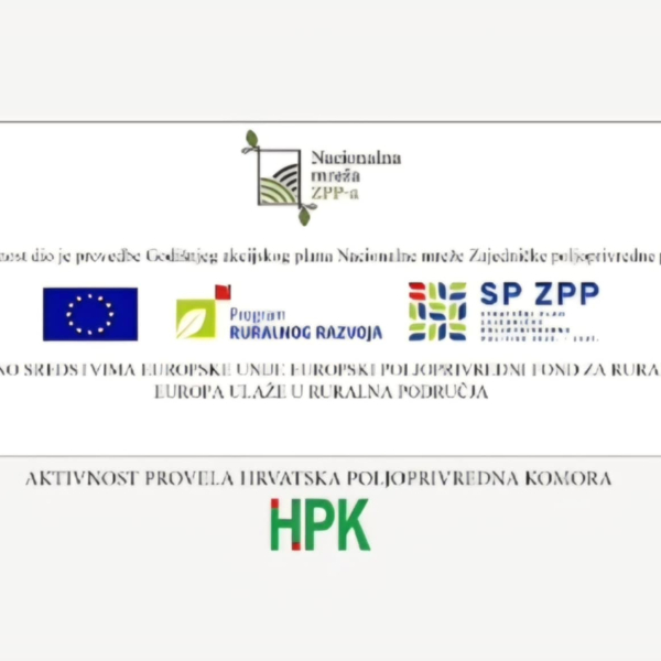 INKLUZIJA je društvo!