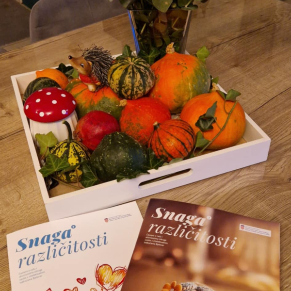 Snaga različitosti - časopis o aktivnostima Udruge OSIT Bjelovar 7 - 8